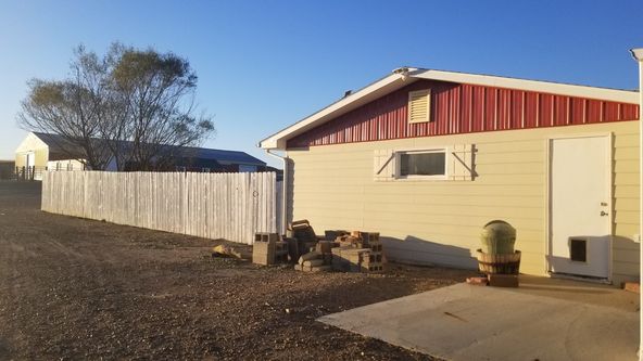 Montana Dream Property With Unlimited Options on 48+ Acres In Sidney: 12353 County Rd 348, Sidney, MT 59270